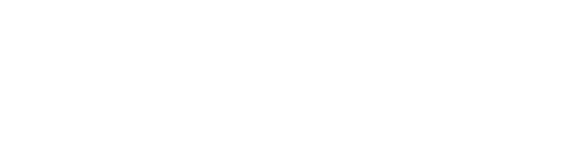 Logo Classic 21 Blues